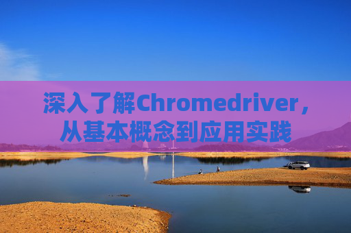 深入了解Chromedriver,从基本概念到应用实践 深入了解Chromedriver,从基本概念到应用实践